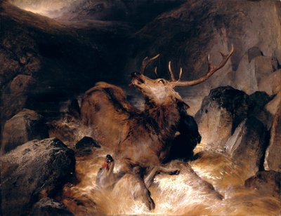 Deer and Deer Hounds in a Mountain Torrent by Edwin Landseer